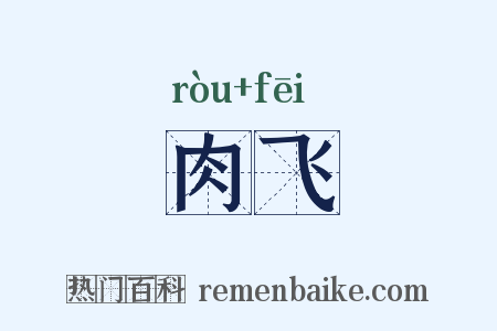 肉飞是什么意思的图片